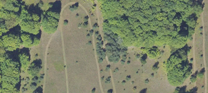 Buckley, MI 49620