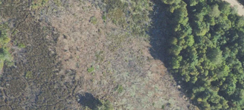 Tailings Basin