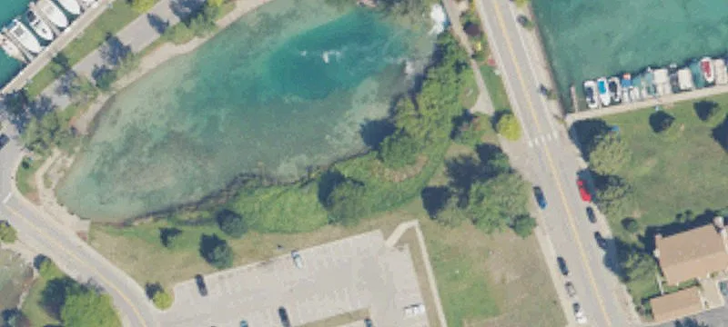 Elk Rapids, MI 49629