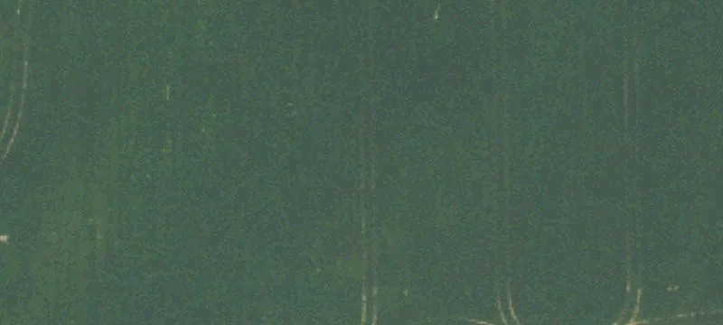 Lansing, MI 48906