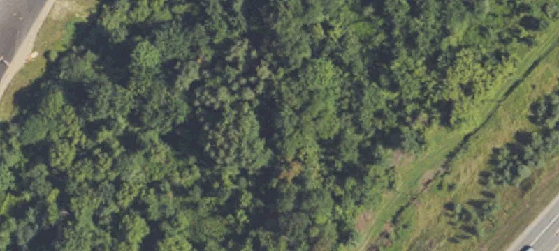 Grand Ledge, MI 48837