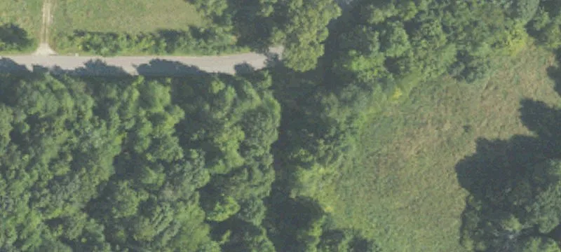 Central Park Dr