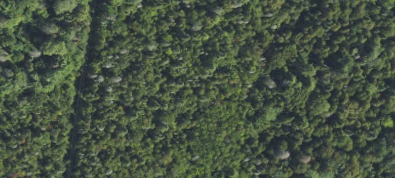 Michigamme, MI 49861