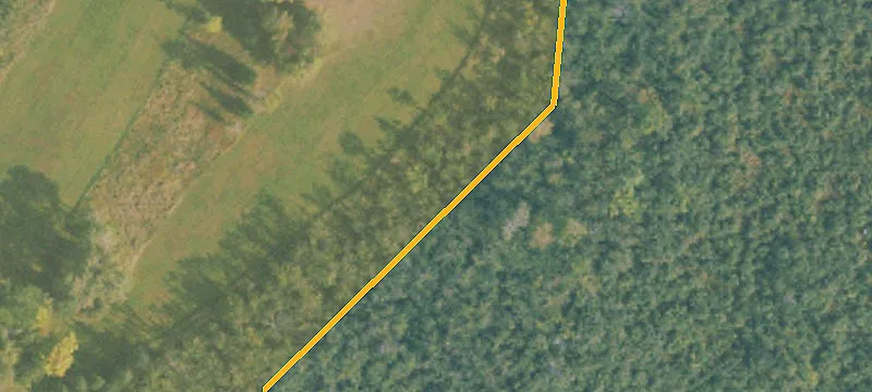 Us 41