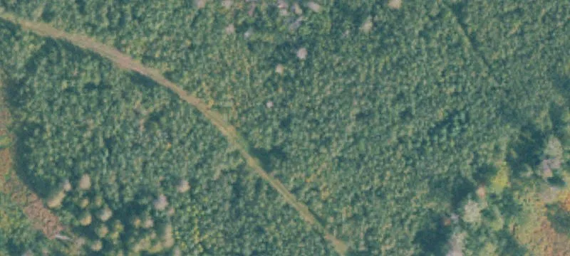 County Rd 551