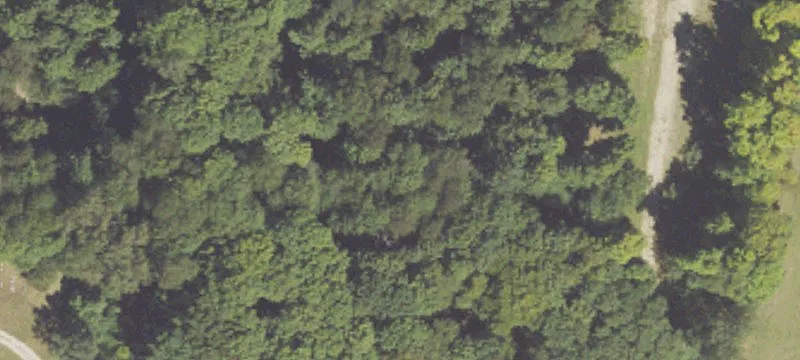 Free Soil, MI 49411