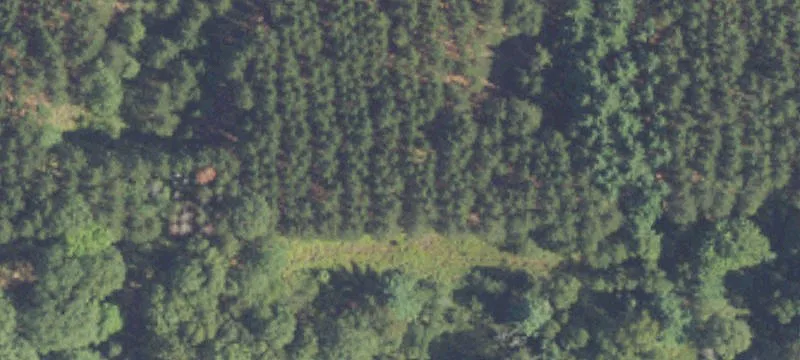 7030 3rd Mile Rd