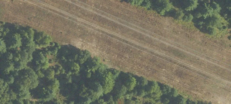 Bitely, MI 49309