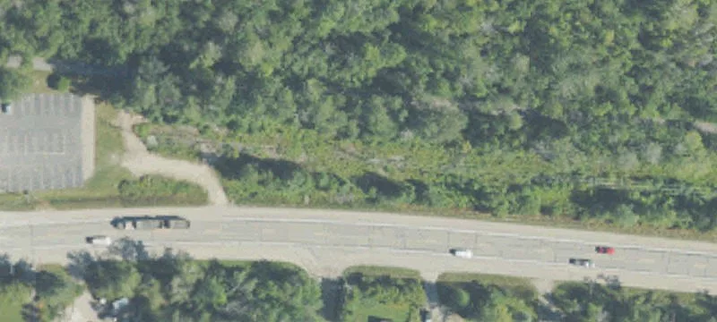 Alanson, MI 49706