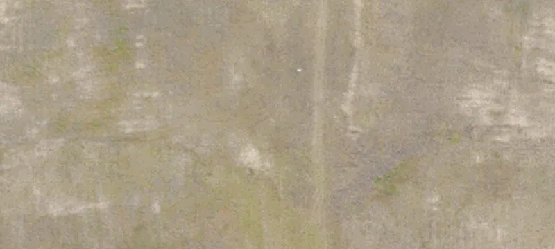 10081  St