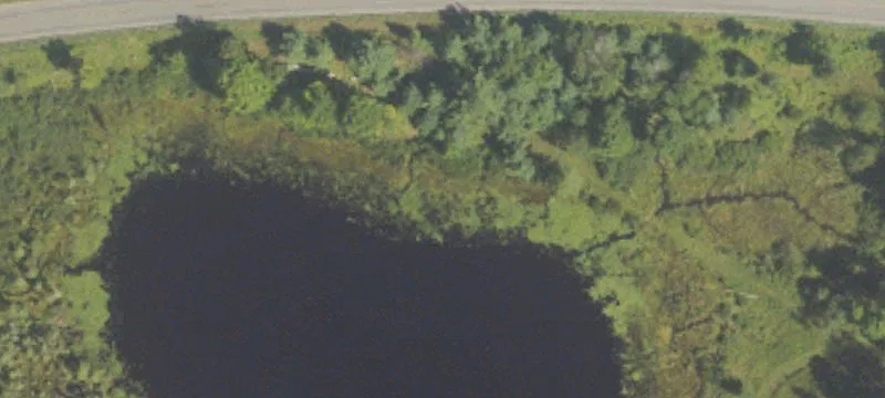 Tustin, MI 49688