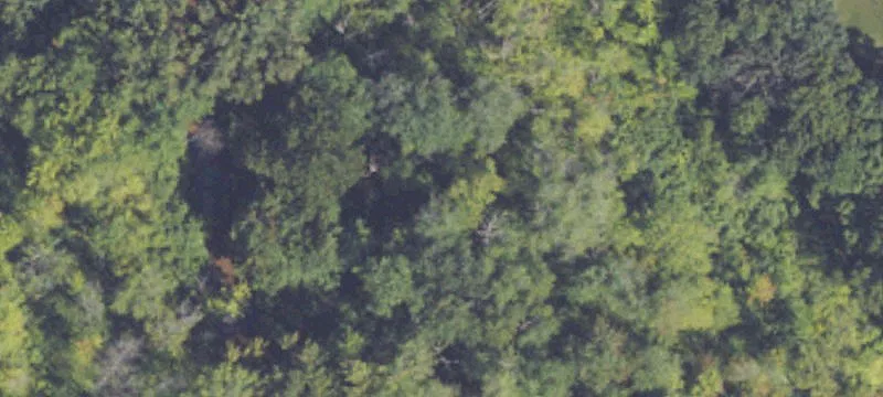 Marquette Woods Rd