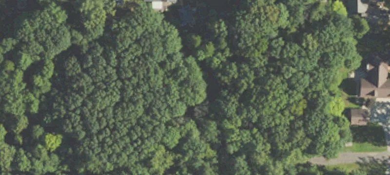 Oakview Dr