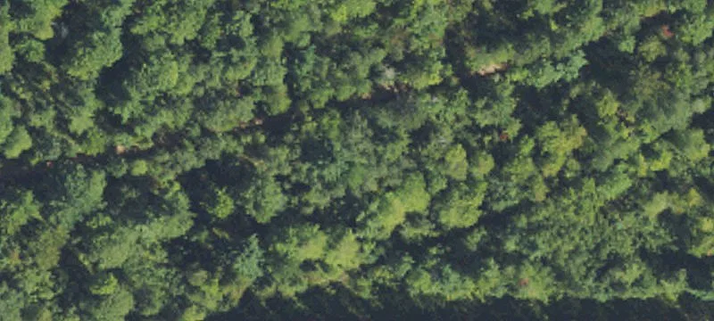 Crystal Falls, MI 49920