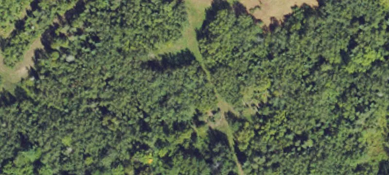 316 Carpenter Rd