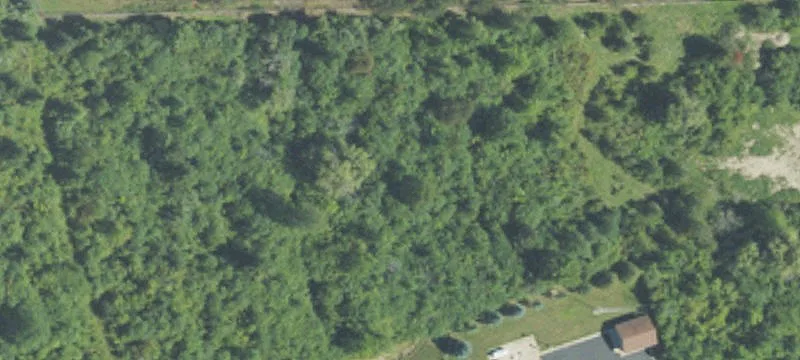 Dye Rd