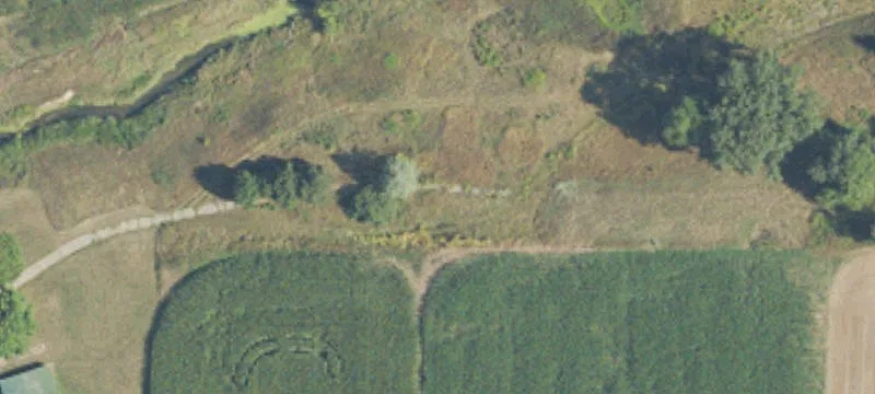 Rich Rd