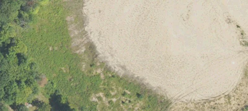 Manton, MI 49663