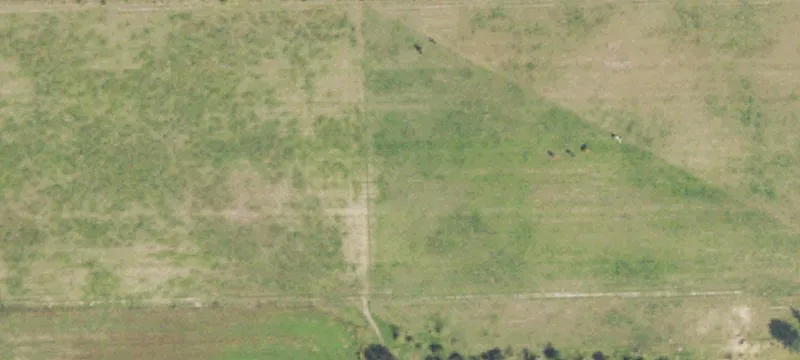 7031 Ranger Rd