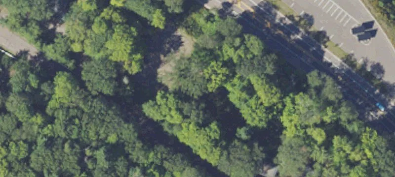 Woodland Rd