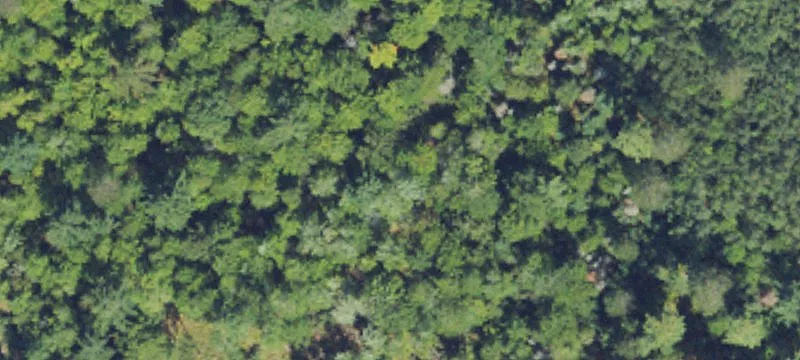 Crystal Falls, MI 49920