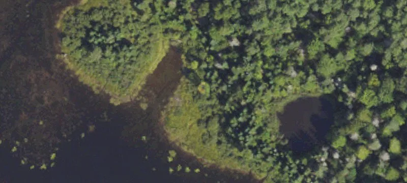 Trout Creek, MI 49967