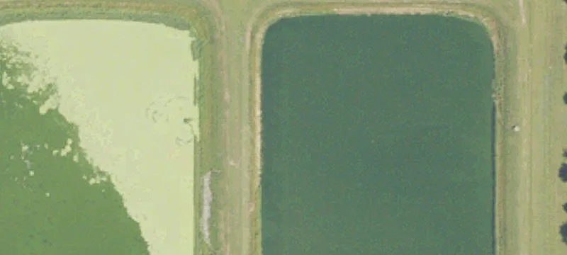 Shawnee Rd