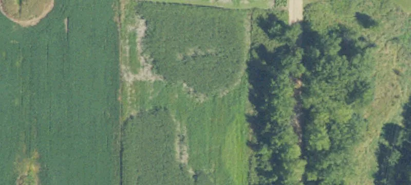 Maple Hl Rd