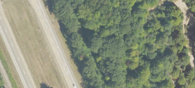 Us 31