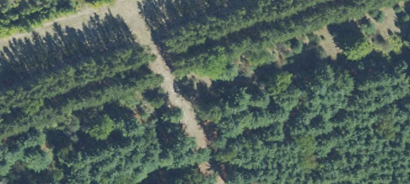 Us Hwy 31
