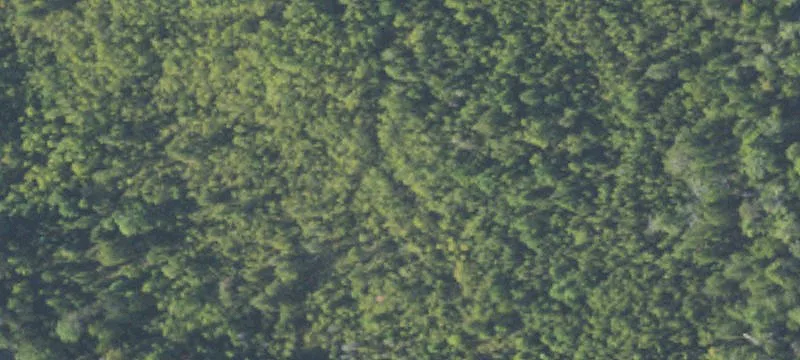 Presque Isle, MI 49777