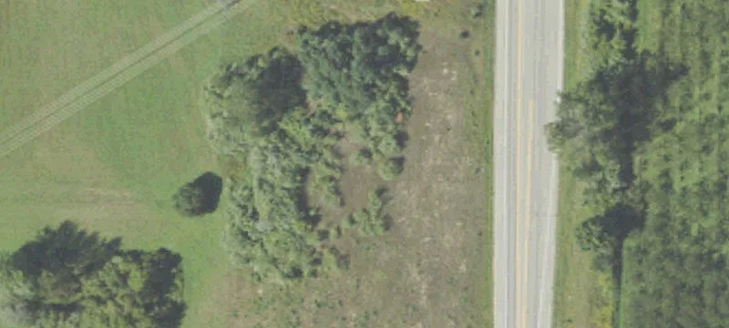 Bear Lake, MI 49614