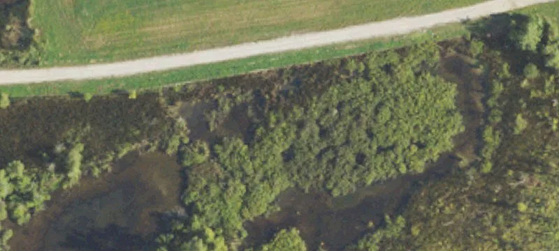 Old Us 23