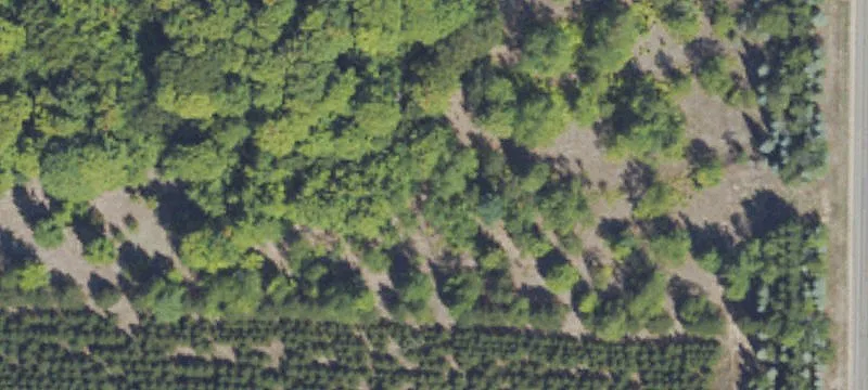 Maple City Rd