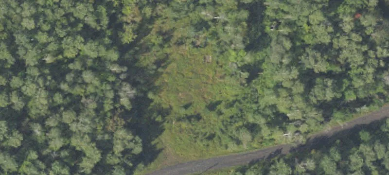 126 Kronberg Rd