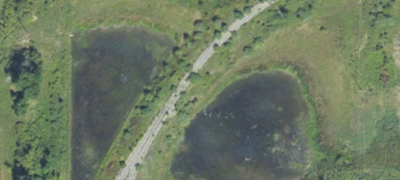 Delaney Rd