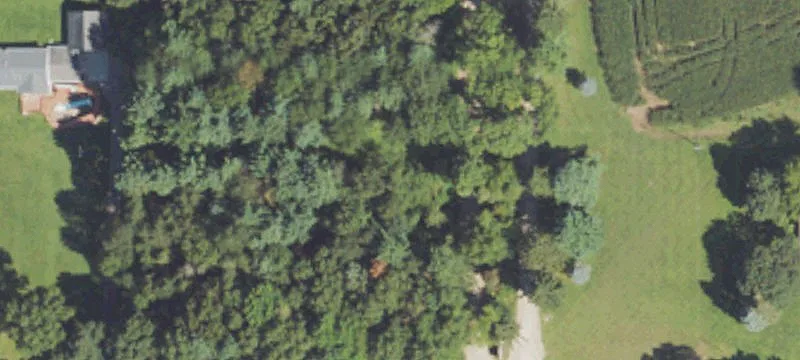 Rives Junction, MI 49277