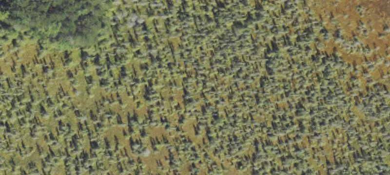 Sidnaw, MI 49961