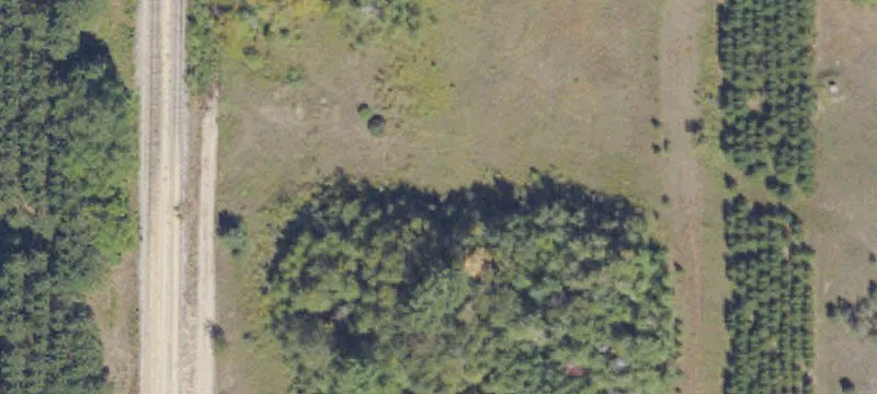 Mesick, MI 49668