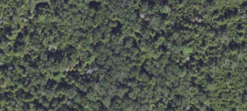 Drummond Island, MI 49726