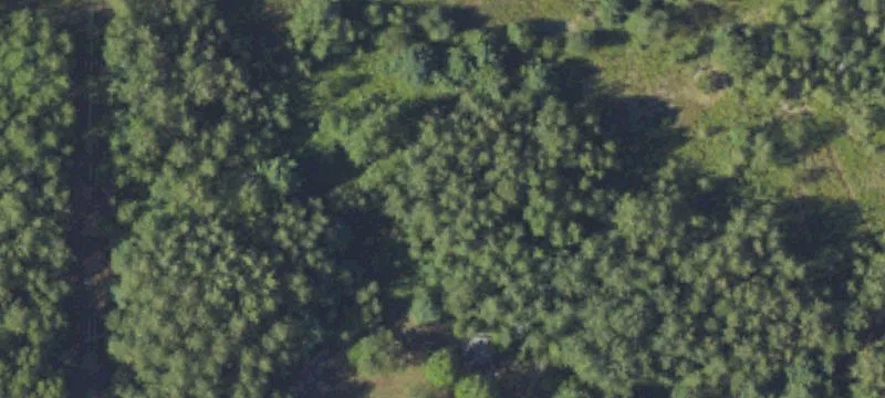 Pellston, MI 49769