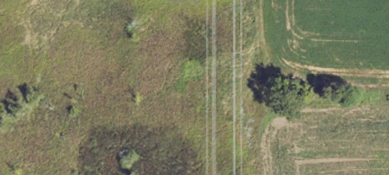Fremont, MI 49412