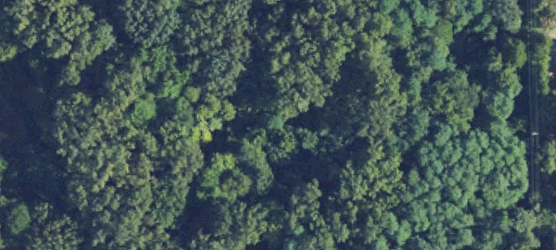 Beckley Rd