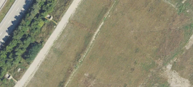 Torrey Rd