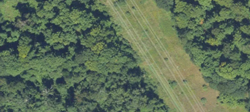 Shelby, MI 49455