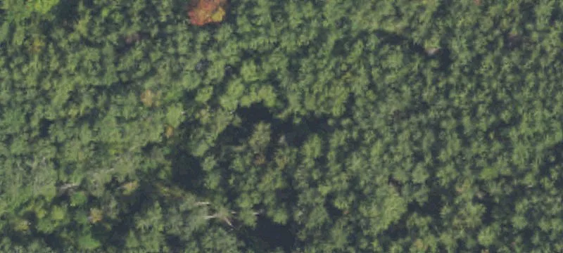 Lupton, MI 48635