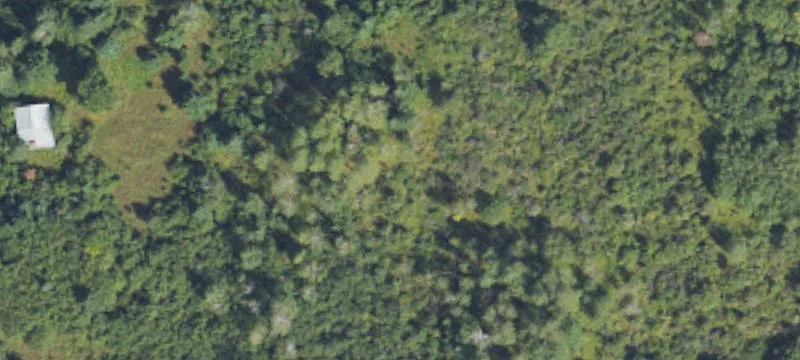 Trout Creek, MI 49967