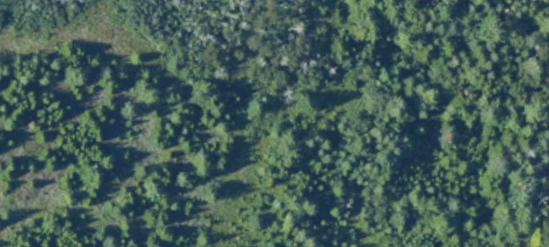 Ww Us-2