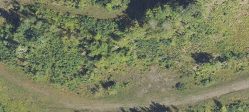 Ee County Rd Lf