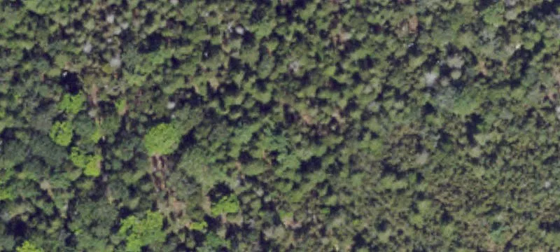 Drummond Island, MI 49726